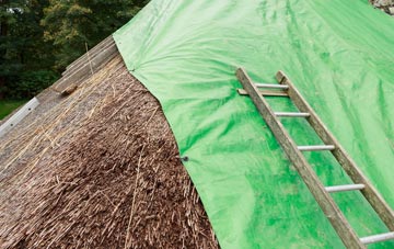 maintaining Northern Ireland thatch