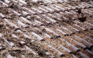 Northern Ireland roof cleaning companies