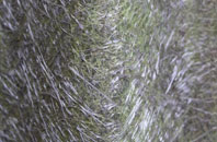 Northern Ireland fibreglass roof work